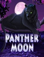 เคล็ดลับการค้นหา เกม สล็อต ที่น่าลอง!